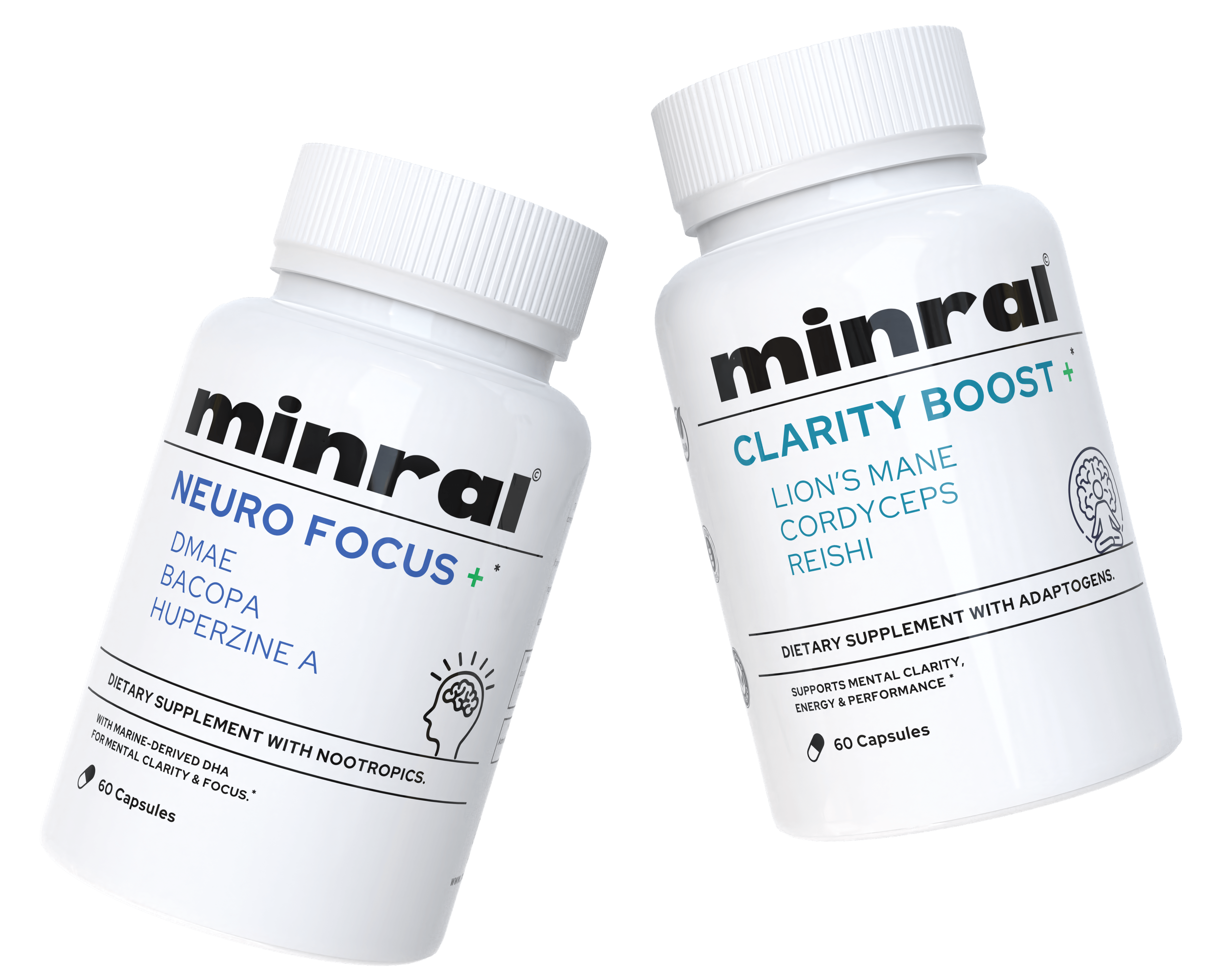 Brain and Cognitive Function