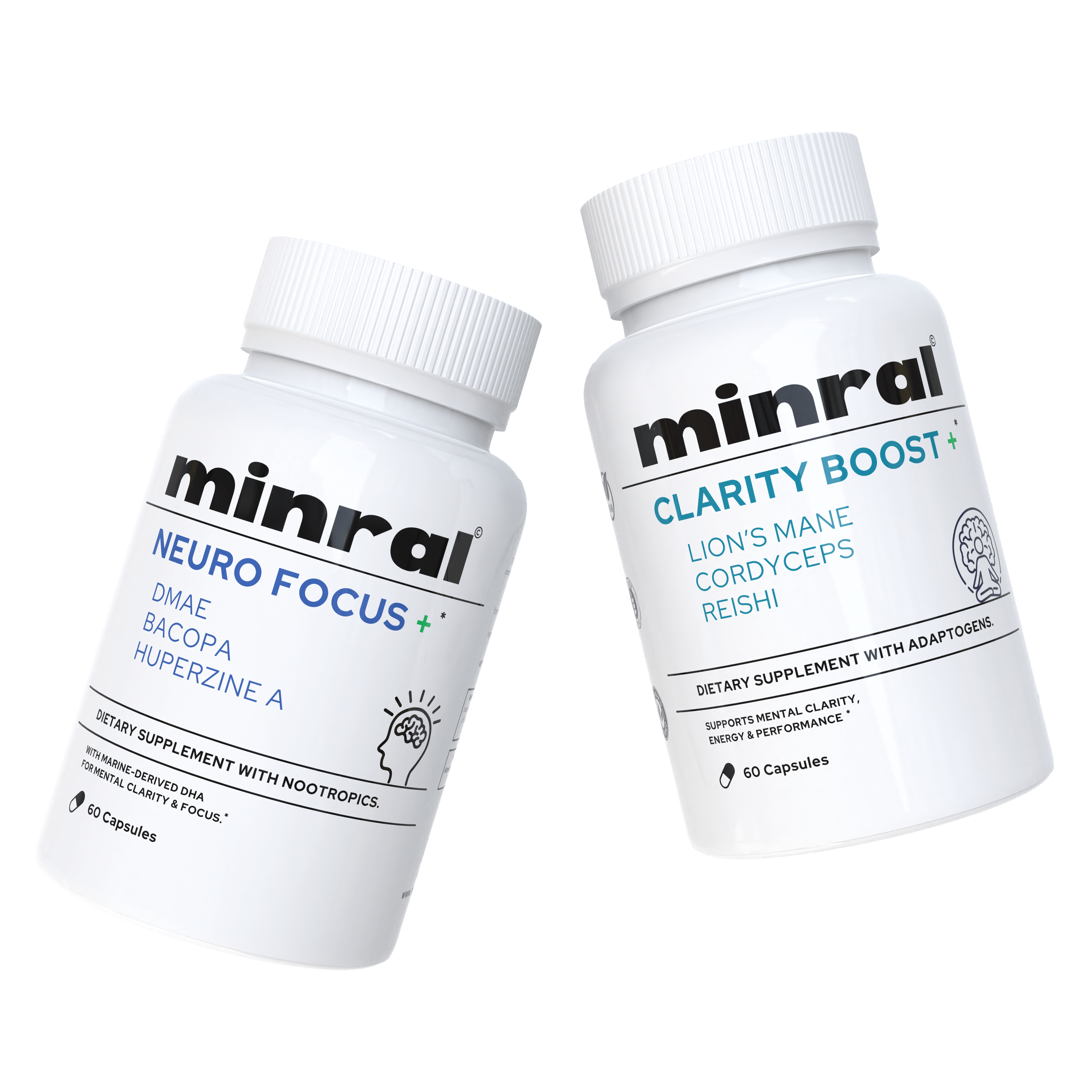 Brain and Cognitive Function